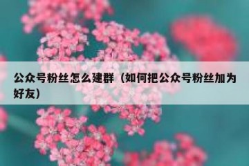 公众号粉丝怎么建群（如何把公众号粉丝加为好友）