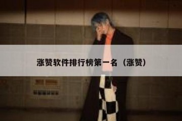 涨赞软件排行榜第一名（涨赞）