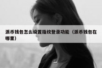 派币钱包怎么设置指纹登录功能（派币钱包在哪里）