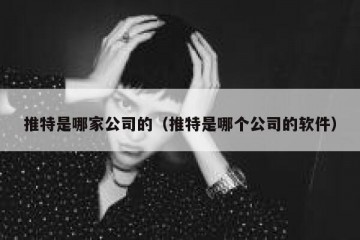推特是哪家公司的（推特是哪个公司的软件）