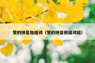 赞的拼音加组词（赞的拼音和组词组）