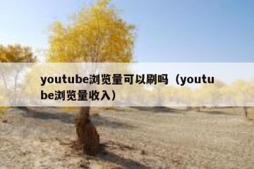 youtube浏览量可以刷吗（youtube浏览量收入）