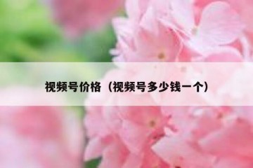 视频号价格（视频号多少钱一个）