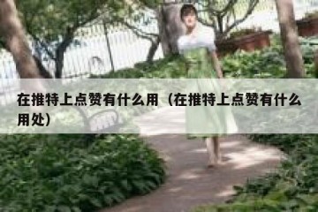 在推特上点赞有什么用（在推特上点赞有什么用处）