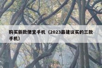 购买新款便宜手机（2023最建议买的三款手机）