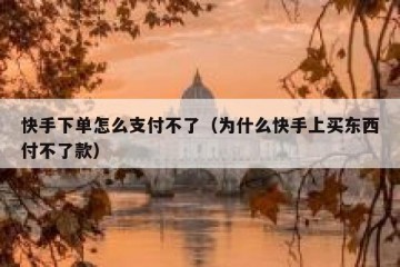 快手下单怎么支付不了（为什么快手上买东西付不了款）