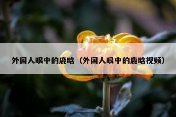外国人眼中的鹿晗（外国人眼中的鹿晗视频）