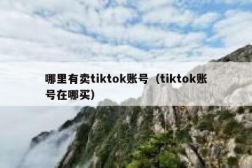 哪里有卖tiktok账号（tiktok账号在哪买）