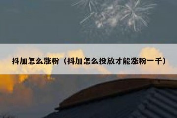 抖加怎么涨粉（抖加怎么投放才能涨粉一千）