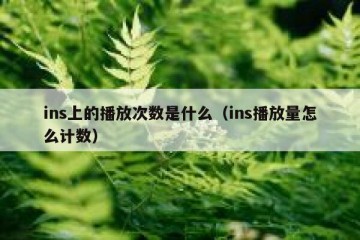 ins上的播放次数是什么（ins播放量怎么计数）