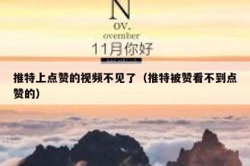 推特上点赞的视频不见了（推特被赞看不到点赞的）