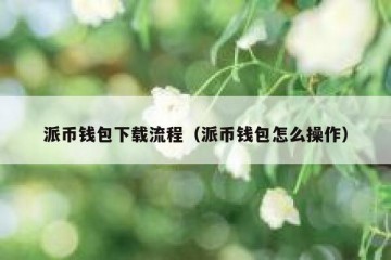 派币钱包下载流程（派币钱包怎么操作）