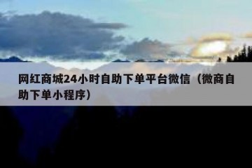网红商城24小时自助下单平台微信（微商自助下单小程序）