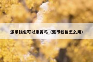 派币钱包可以重置吗（派币钱包怎么用）