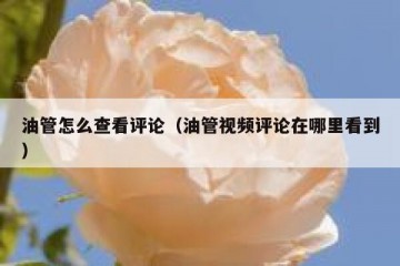 油管怎么查看评论（油管视频评论在哪里看到）