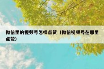 微信里的视频号怎样点赞（微信视频号在那里点赞）