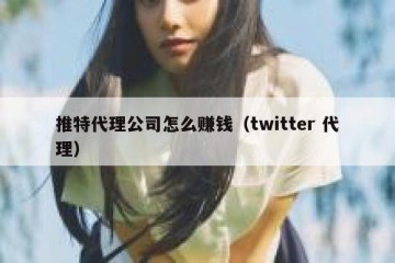 推特代理公司怎么赚钱（twitter 代理）