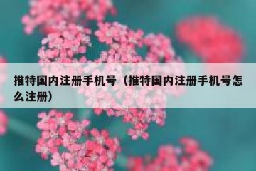 推特国内注册手机号（推特国内注册手机号怎么注册）