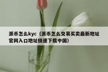 派币怎么kyc（派币怎么交易买卖最新地址官网入口地址极速下载中国）