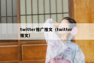 twitter推广推文（twitter 推文）