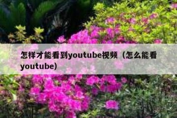 怎样才能看到youtube视频（怎么能看youtube）