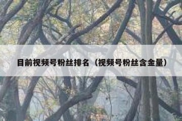 目前视频号粉丝排名（视频号粉丝含金量）