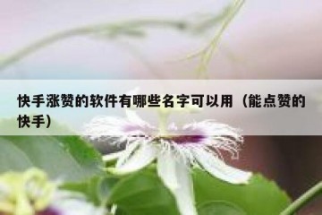 快手涨赞的软件有哪些名字可以用（能点赞的快手）