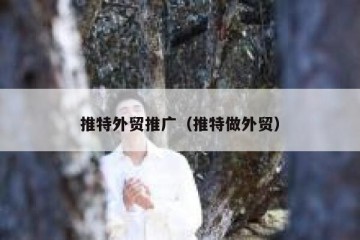 推特外贸推广（推特做外贸）