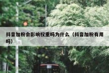 抖音加粉会影响权重吗为什么（抖音加粉有用吗）