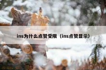 ins为什么点赞受限（ins点赞显示）