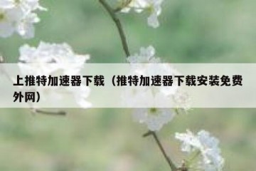 上推特加速器下载（推特加速器下载安装免费外网）