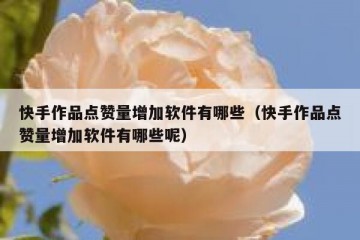 快手作品点赞量增加软件有哪些（快手作品点赞量增加软件有哪些呢）