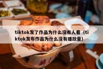 tiktok发了作品为什么没有人看（tiktok发布作品为什么没有播放量）