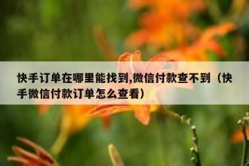 快手订单在哪里能找到,微信付款查不到（快手微信付款订单怎么查看）