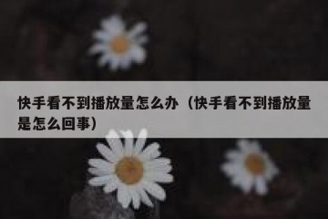 快手看不到播放量怎么办（快手看不到播放量是怎么回事）