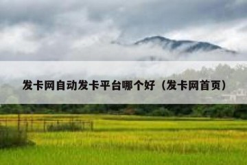 发卡网自动发卡平台哪个好（发卡网首页）