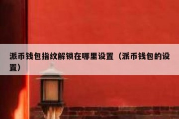 派币钱包指纹解锁在哪里设置（派币钱包的设置）