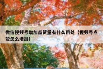 微信视频号增加点赞量有什么用处（视频号点赞怎么增加）