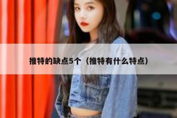 推特的缺点5个（推特有什么特点）