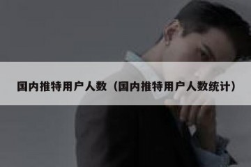 国内推特用户人数（国内推特用户人数统计）