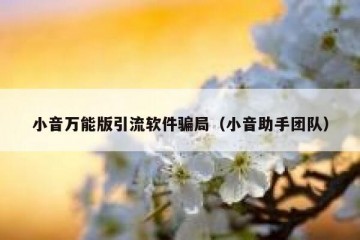 小音万能版引流软件骗局（小音助手团队）