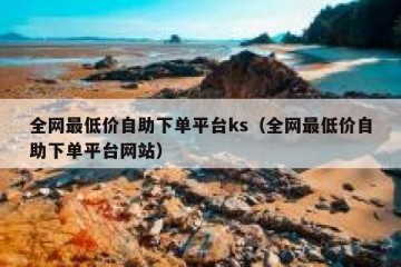 全网最低价自助下单平台ks（全网最低价自助下单平台网站）