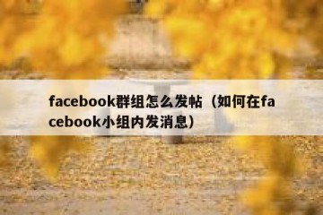 facebook群组怎么发帖（如何在facebook小组内发消息）