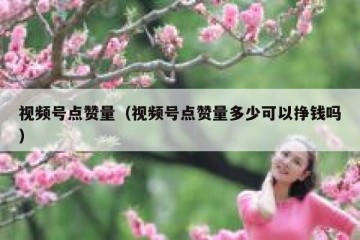 视频号点赞量（视频号点赞量多少可以挣钱吗）