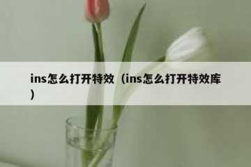 ins怎么打开特效（ins怎么打开特效库）