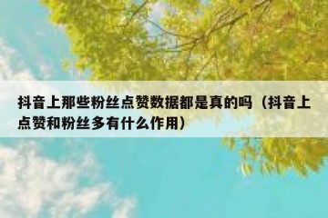 抖音上那些粉丝点赞数据都是真的吗（抖音上点赞和粉丝多有什么作用）
