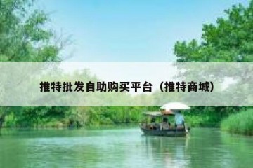 推特批发自助购买平台（推特商城）