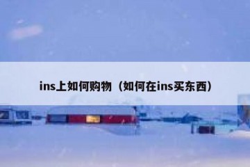 ins上如何购物（如何在ins买东西）
