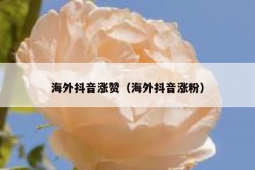 海外抖音涨赞（海外抖音涨粉）