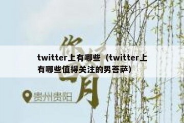 twitter上有哪些（twitter上有哪些值得关注的男菩萨）